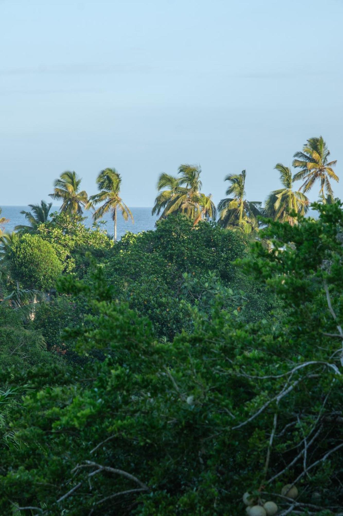 The Jungle View Hotel Mirissa Ngoại thất bức ảnh