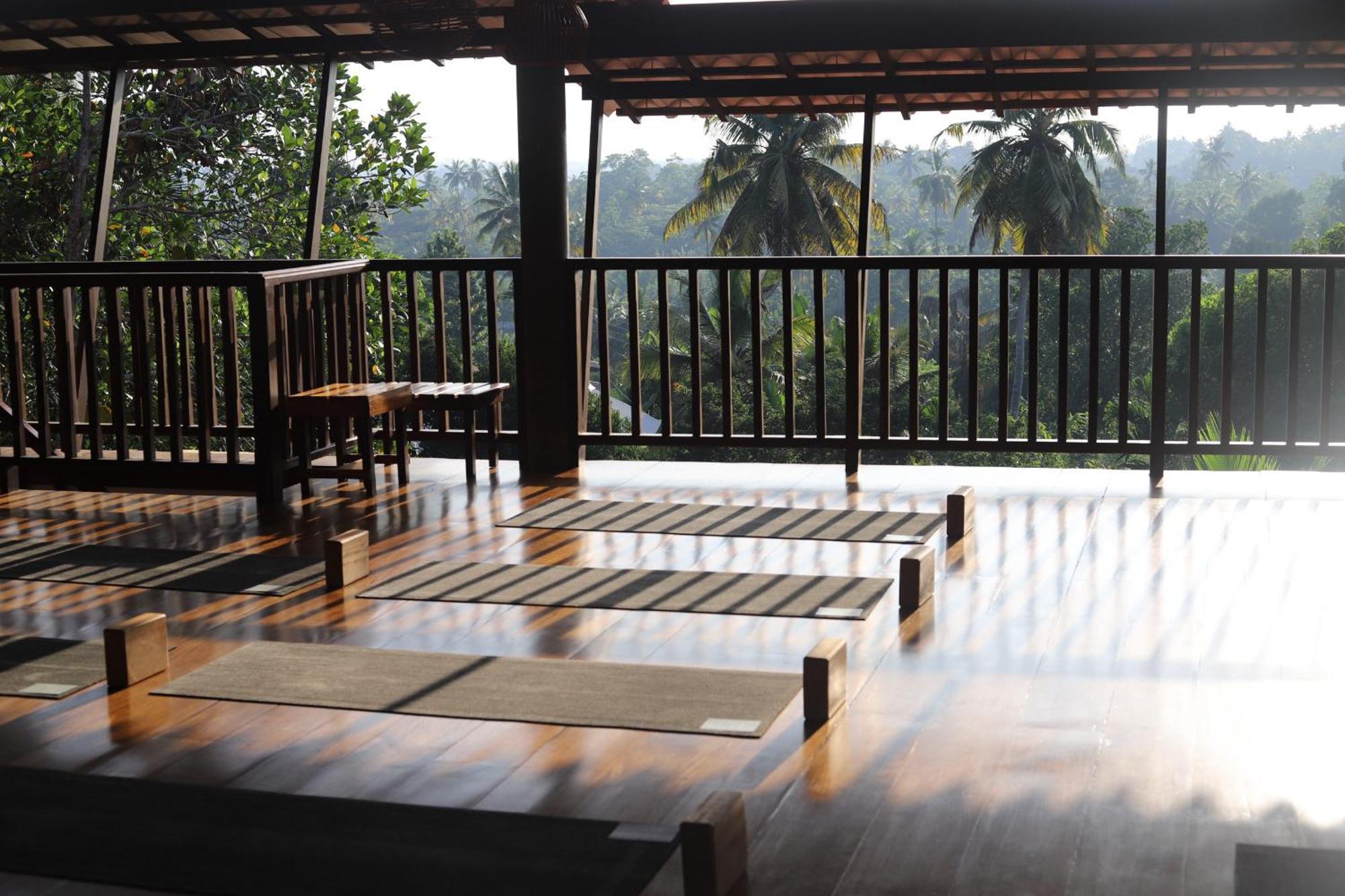 The Jungle View Hotel Mirissa Ngoại thất bức ảnh